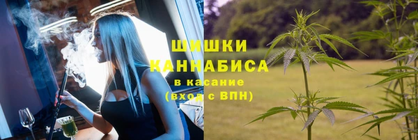 ешки Надым