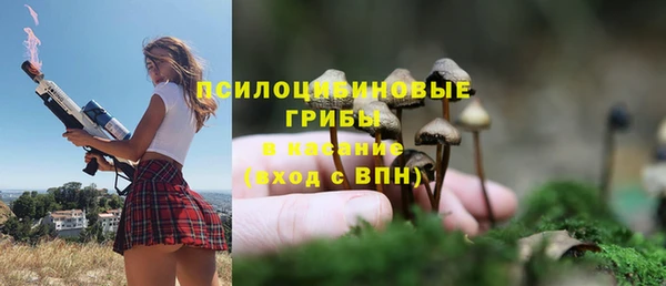 ПСИЛОЦИБИНОВЫЕ ГРИБЫ Навашино