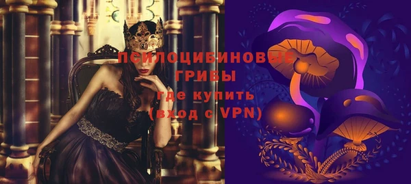 индика Наволоки