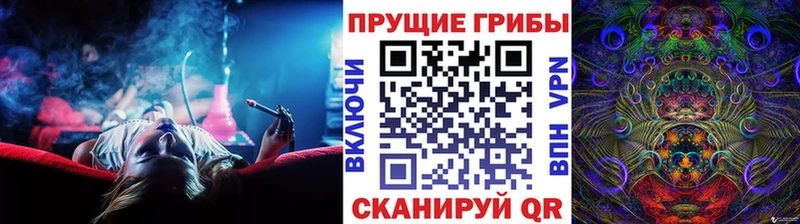 продажа наркотиков  Курганинск  Галлюциногенные грибы Magic Shrooms 