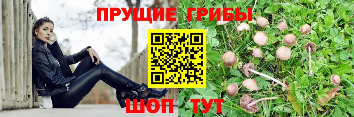 Курганинск  Псилоцибиновые грибы Magic Shrooms  Вход с VPN  Галлюциногенные грибы ЛСД 