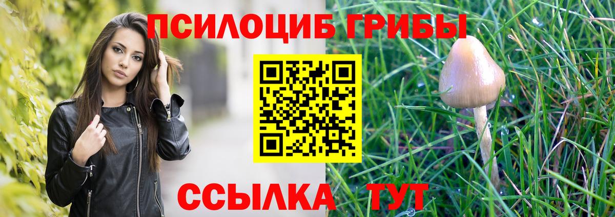 Псилоцибиновые грибы мухоморы Курганинск