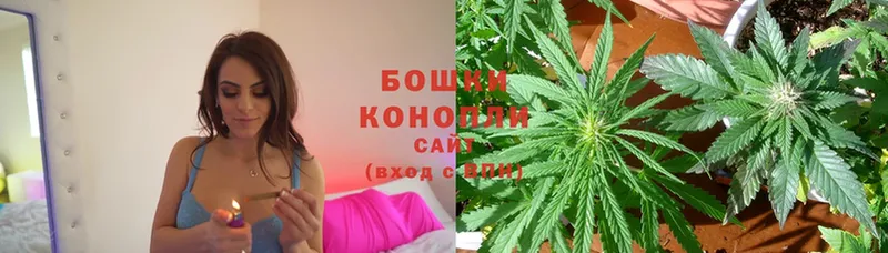 Конопля SATIVA & INDICA  даркнет официальный сайт  Курганинск 